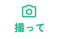 FV