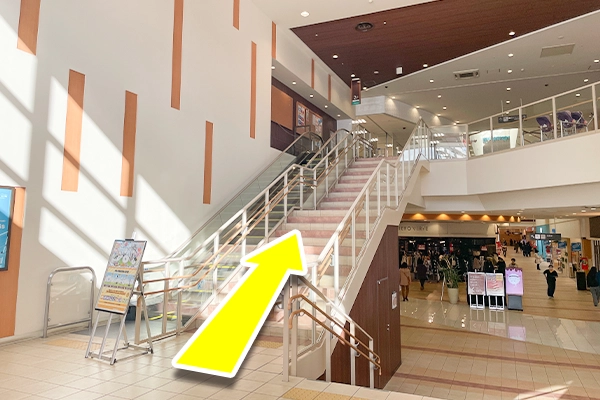 入店したら、目の前にあるエスカレーター(または階段)で2階に上がります
