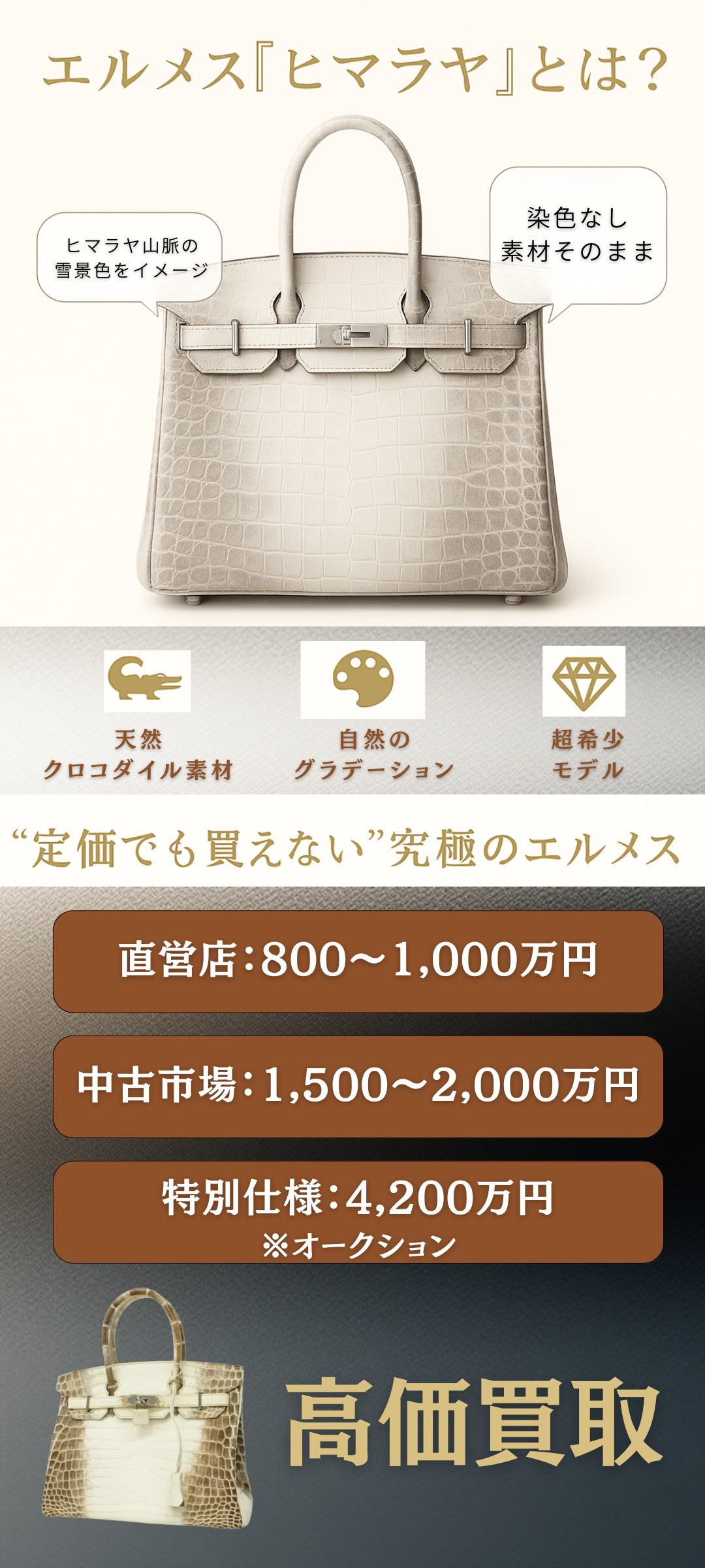 エルメスのバーキンやケリーのヒマラヤの定価はいくら？最新相場・入手難易度・高く売るコツまで徹底解説