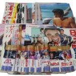古い 映画ポスター 昭和レトロ おまとめ大量出品 全24種 コレクション
