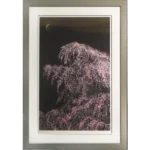 絵画 千住博 夜桜月下