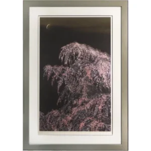絵画 千住博 夜桜月下