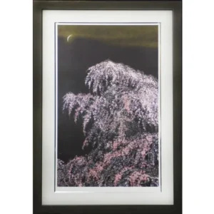 絵画 千住博 夜桜月下
