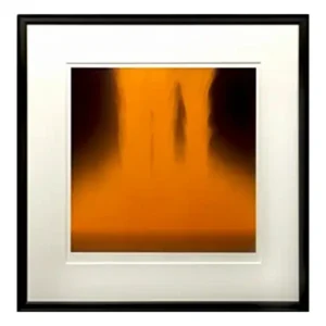 絵画 千住博 フォーリングカラー