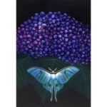 絵画 加山又造 紫陽花
