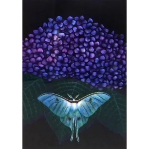 絵画 加山又造 紫陽花