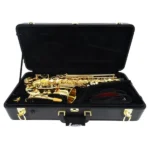 YANAGISAWA ヤナギサワ ALTO SAX 901Ⅱ アルトサックス