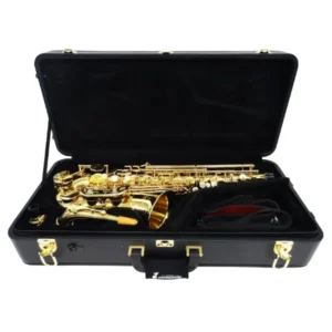 YANAGISAWA ヤナギサワ ALTO SAX 901Ⅱ アルトサックス