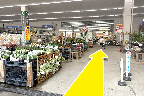 DCMの店内へ入ります。   