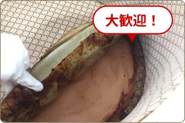 破損