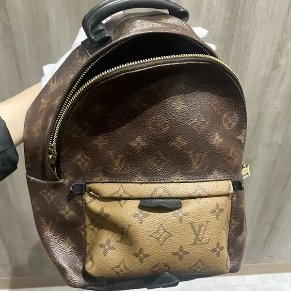 ルイ・ヴィトン　モノグラム・リバース　パームスプリングス バックパック