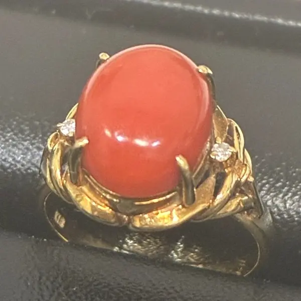 サンゴ　11mm
