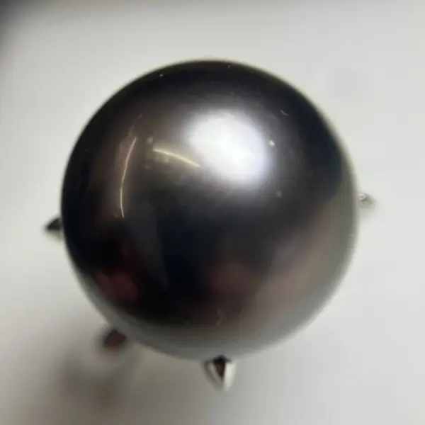 ブラックパール　12.4㎜