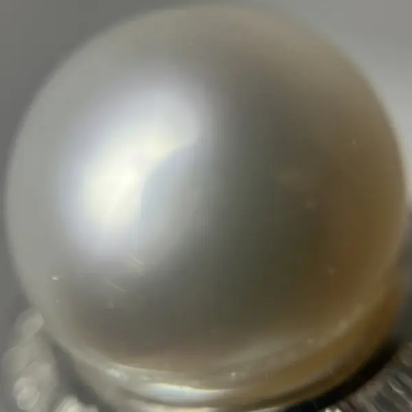 パール　10mm