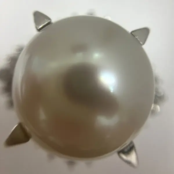 パール　14.2㎜