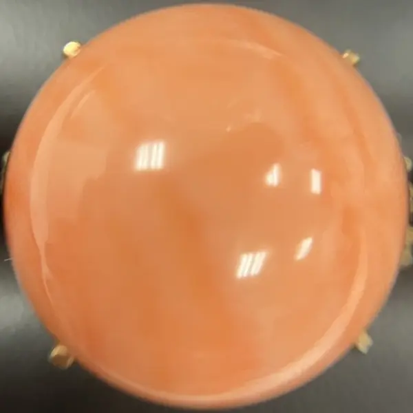 サンゴ　16mm
