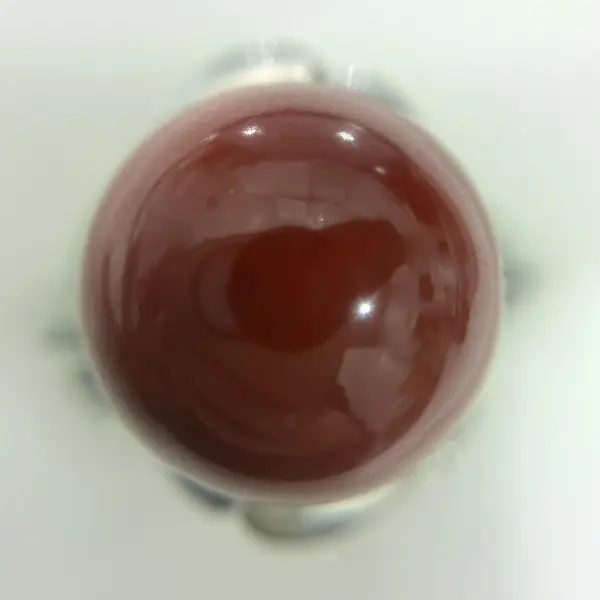サンゴ　12.2㎜
