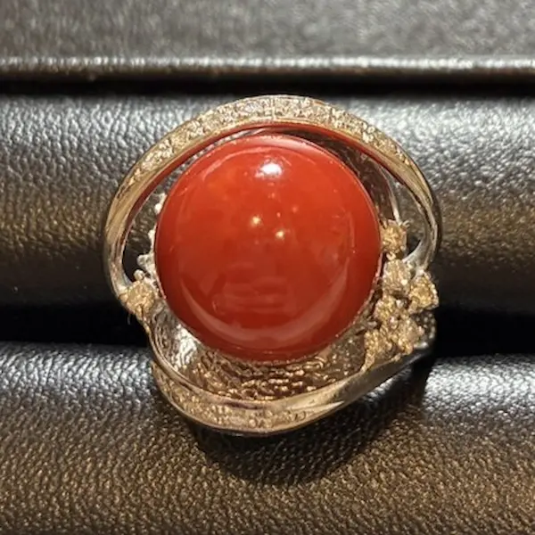 サンゴ　14.3mm