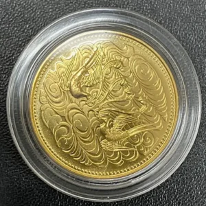 天皇陛下御在位60年記念 10万円金貨