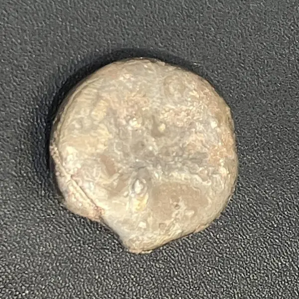 K14　金塊　82g
