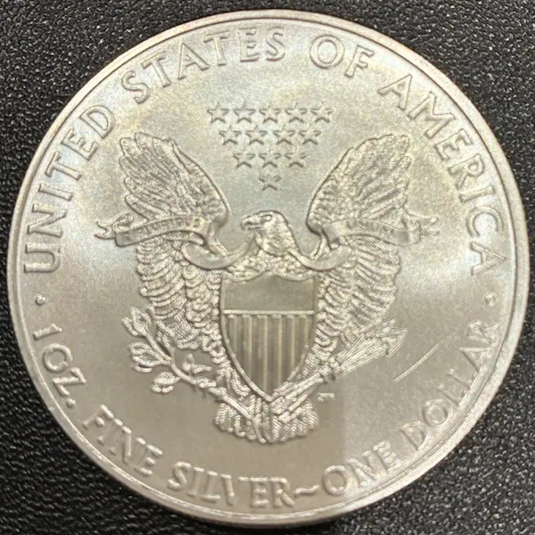 SV1000　アメリカンイーグル銀貨　31.5g